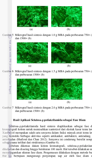 Gambar 5  Mikrograf hasil sintesis dengan 1.0 g MBA pada perbesaran 750× (a)   