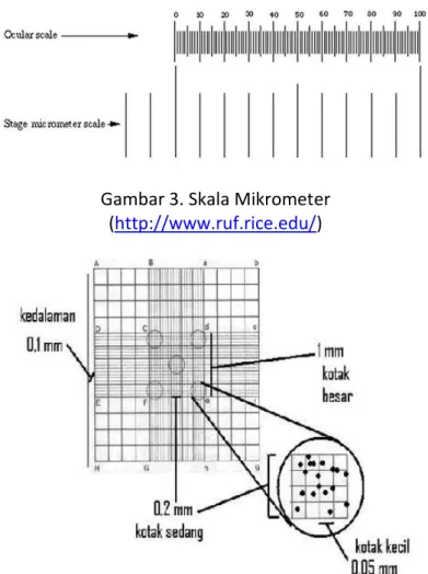 Gambar 3. Skala Mikrometer  (http://www.ruf.rice.edu/) 