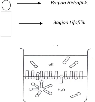 Gambar 2. Kerja Surfaktan pada Fase Air dan Fase Minyak  (Gennaro, AR, (1990), Remington”s Pharmaceutical Sciences)  Penggolongan sistem Hidrofilik-Lipofilik Balance (HLB) 
