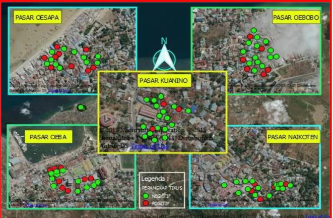Gambar 1. Peta Sebaran Tikus Pada Rumah Di Sekitar Pasar Di Kota Kupang Tahun 2018 