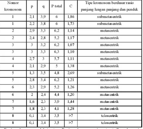Tabel  1.  Panjang  Lengan  Panjang,  Lengan  Pendek,  Rasio  Lengan  Panjang  dan  Pendek  Serta  Panjang Total Kromosom Bawang Merah 