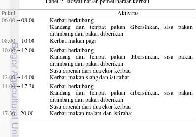 Tabel 2  Jadwal harian pemeliharaan kerbau 