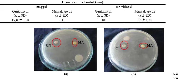 Tabel 3.  Pengujian aktivitas antibakteri kombinasi minyak atsiri dengan gentamisin Diameter zona hambat (mm) 