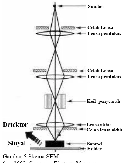 Gambar 5 Skema SEM 