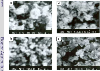 Gambar 15 Morfologi HAp sintetik dengan perbesaran 40.000 kali (a). HAp 4070oC air, (d)