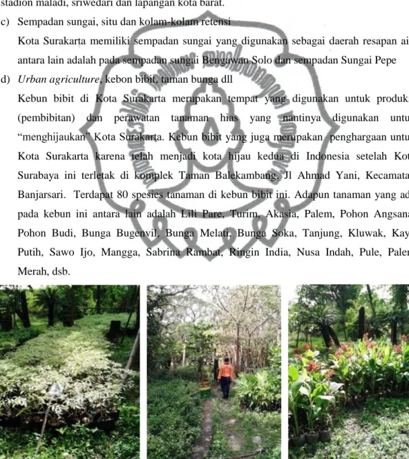 Gambar 4.7 Kebun Bibit DKP Kota Surakarta 