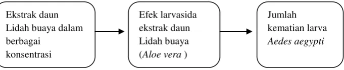 Gambar 2. Kerangka Konsep 