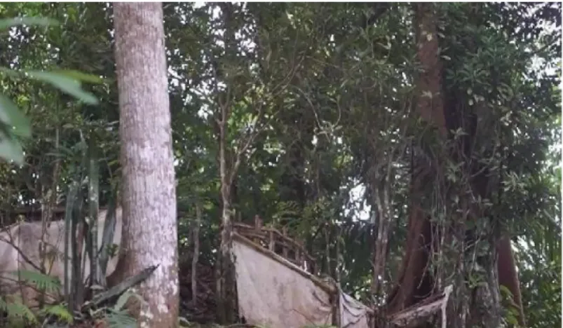 Gambar 3.2 pohon besar di petilasan Ki Linggo Manik 
