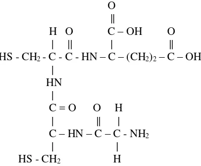Gambar 6  Struktur fitokelatin (glisin-sistein-sistein-glutamat)  