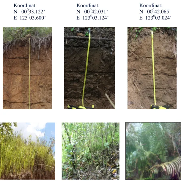 Gambar 4. Profil Pedon PRD1, PRD2, dan PRD3 beserta Lanskapnya di Kebun  Percobaan  Dulamayo  Desa  Dulamayo  Selatan  Kecamatan  Telaga  Kabupaten Gorontalo 