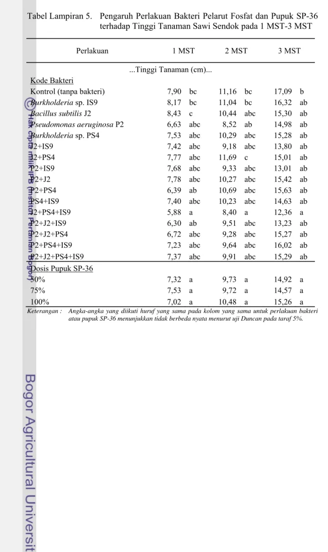 Tabel Lampiran 5.  Pengaruh Perlakuan Bakteri Pelarut Fosfat dan Pupuk SP-36  terhadap Tinggi Tanaman Sawi Sendok pada 1 MST-3 MST 