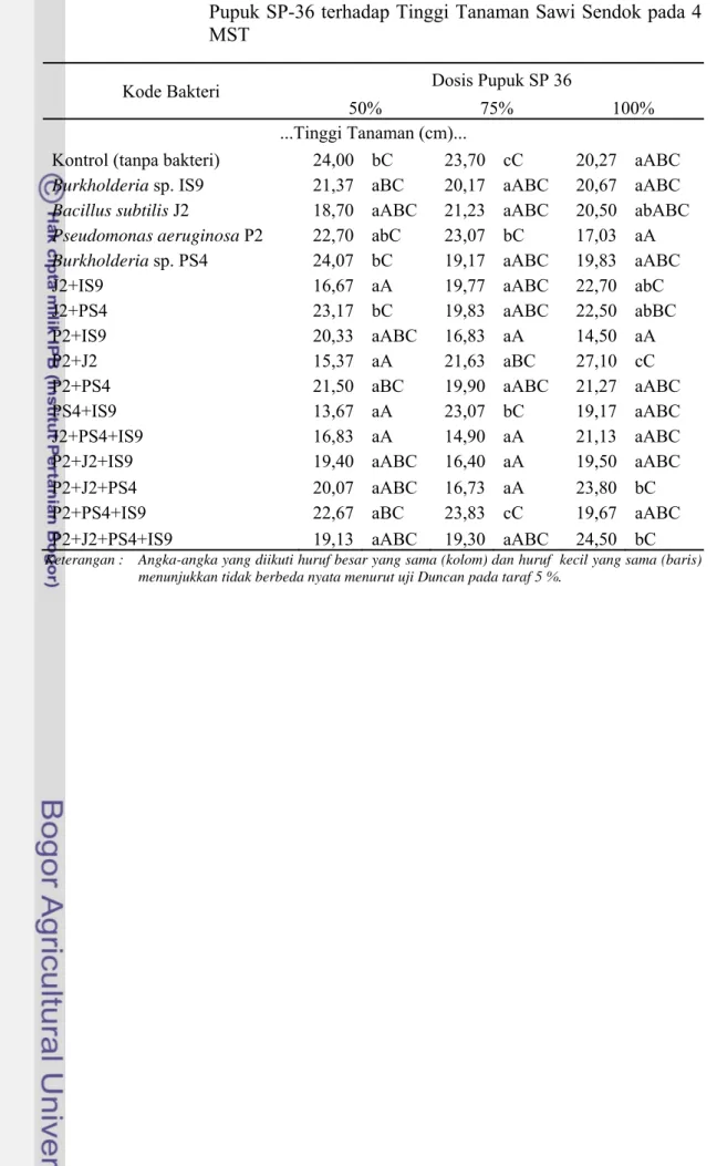 Tabel Lampiran 6.  Pengaruh  Interaksi  Perlakuan Bakteri Pelarut Fosfat dan  Pupuk SP-36 terhadap Tinggi Tanaman Sawi Sendok pada 4  MST 