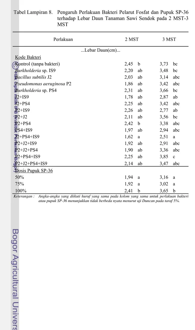 Tabel Lampiran 8.  Pengaruh Perlakuan Bakteri Pelarut Fosfat dan Pupuk SP-36  terhadap Lebar Daun Tanaman Sawi Sendok pada 2 MST-3  MST 