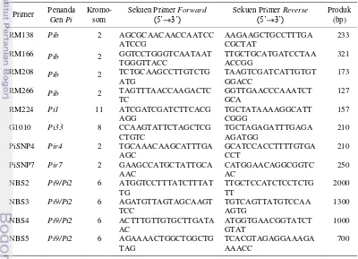 Tabel 7  Primer untuk amplifikasi fragmen gen penanda ketahanan blas 