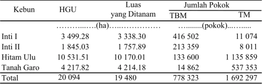 Tabel 1. Pembagian Areal Konsesi dan Jumlah Pokok Kelapa Sawit di PT SAL 1, Merangin, Jambi