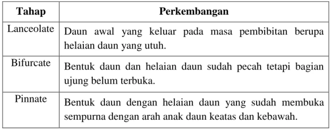 Tabel 2.3. Tahap Perkembangan Daun Kelapa Sawit. 