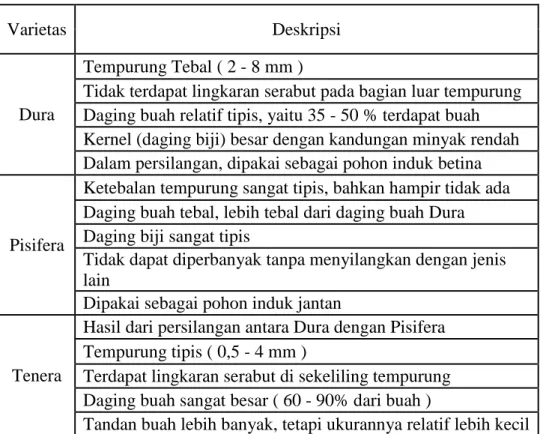 Tabel 2.5 Varietas Kelapa Sawit Berdasarkan Ketebalan Tempurung  dan Daging Buah 