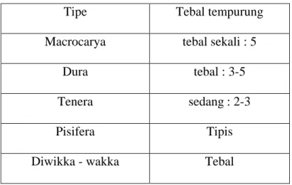 Tabel 2.1 : Varietas kelapa sawit berdasarkan tebal tempurung 
