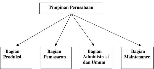 Gambar 1. Struktur Organisasi Perusahaan       Pimpinan Perusahaan   Bagian        Produksi         Bagian Pemasaran     Bagian Administrasi  dan Umum        Bagian  Maintenance 