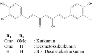 Gambar 3  Struktur kurkuminoid. 