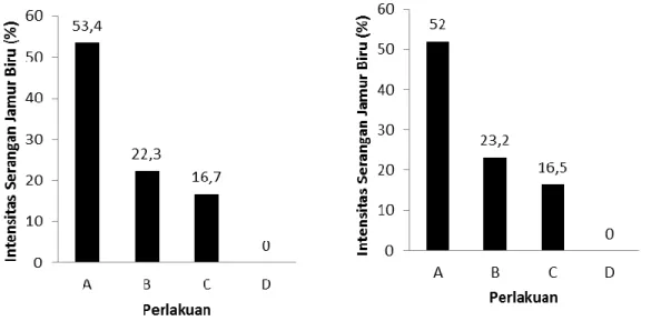 Gambar 3 Intensitas serangan jamur                  Gambar 4  Intensitas serangan jamur  biru pada rotan lambang