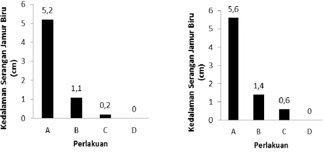Gambar  10  menunjukkan  histogram  kedalaman  serangan  jamur  biru  rata-rata  terhadap  rotan  batang,  saloso,  lambang,  dan  anranga  pada  berbagai  perlakuan