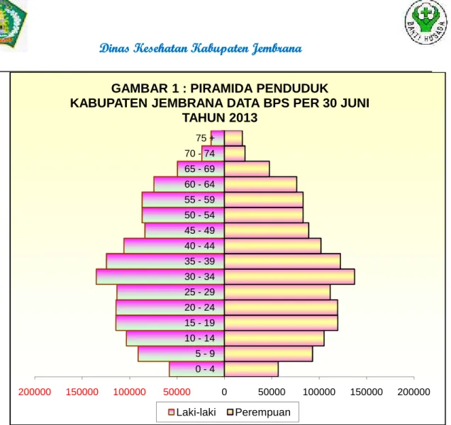 GAMBAR 1 : PIRAMIDA PENDUDUK