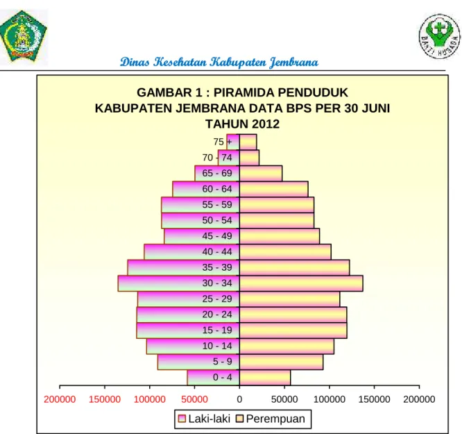 GAMBAR 1 : PIRAMIDA PENDUDUK