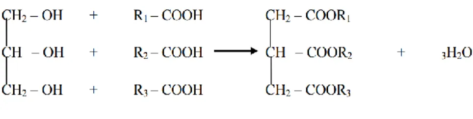 Gambar 2.1  Ikatan gliserol dengan 3 molekul               asam lemak (Pahan, 2008) 