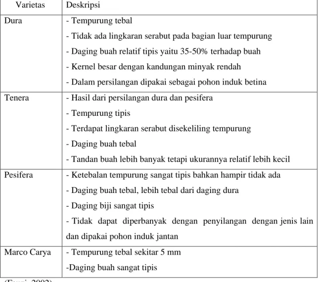 Tabel 2.1 Varietas Kelapa Sawit Berdasarkan Ketebalan Tempurung dan Daging  Buah 