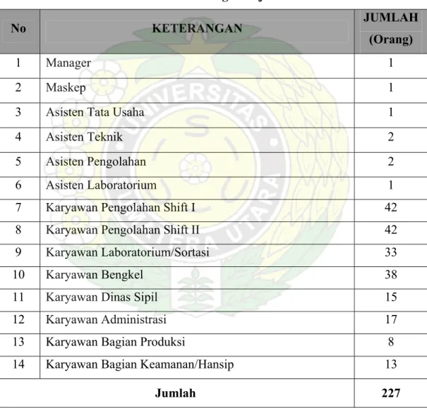 Tabel 2.1. Susunan dan Jumlah Tenaga Kerja PTPN 3 PKS Rambutan 