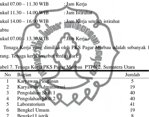 Tabel 7. Tenaga Kerja PKS Pagar Merbau  PTPN 2. Sumatera Utara