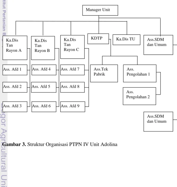 Gambar 3. Struktur Organisasi PTPN IV Unit Adolina 