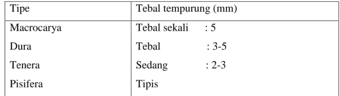Tabel 2.2. Beda tebal tempurung dari berbagai tipe kelapa sawit 