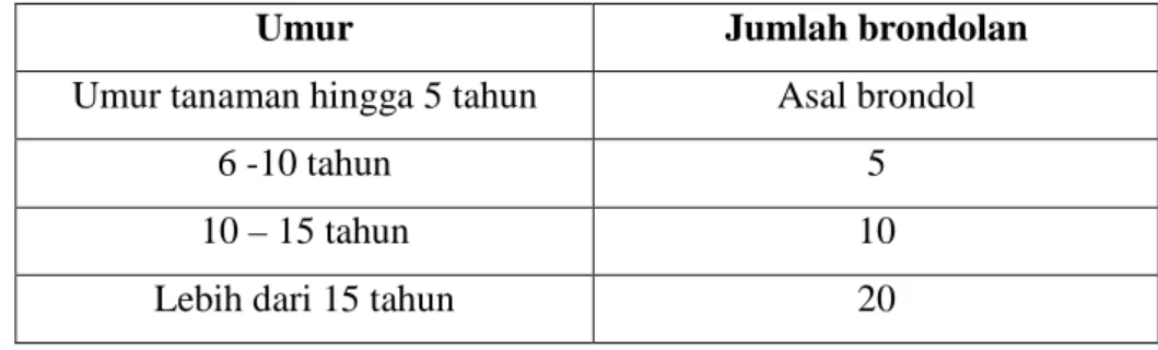 Tabel  2.  jumlah  buah  kelapa  sawit    yang  berondol  berdasarkan  umur  tanaman 