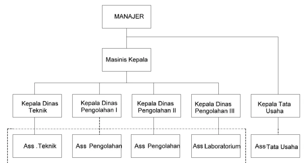 Gambar 2.1. Struktur Organisasi PT. Perkebunan Nusantara I Unit Tanjung Seumantoh