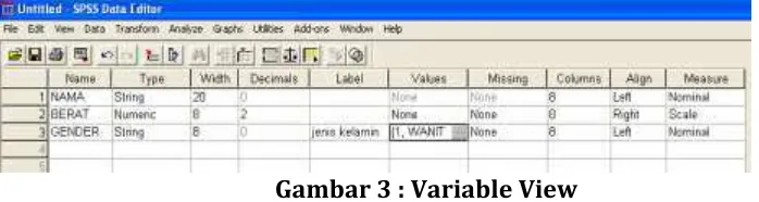 Gambar 3 : Variable View 