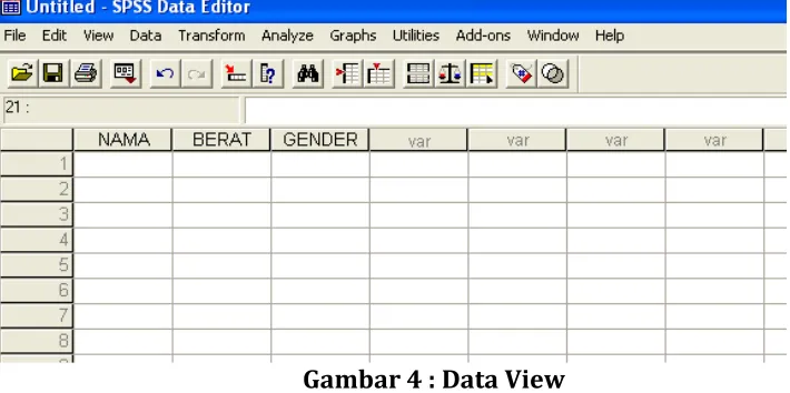 Gambar 4 : Data View Untuk mengisi variable nama, letakkan pointer pada baris 1 kolom 