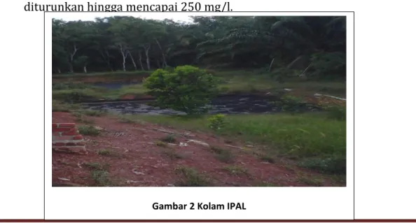 Gambar 2 Kolam IPAL 