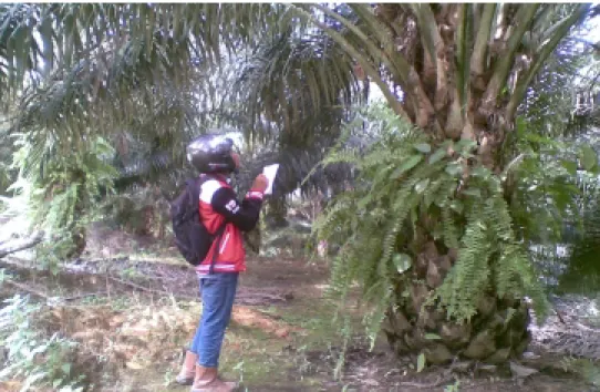 Gambar 9. Kegiatan Sensus Produksi 