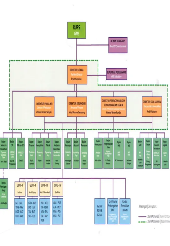 Gambar 2.1 Struktur Organisasi PT Perkebunan Nusantara IV 