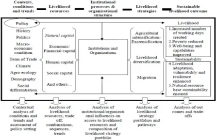 Gambar 1. Kerangka Kerja Sustainable Rural Livelihoods