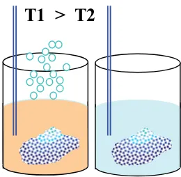 Gambar 10.12. Pelarutan kristal gula dalam air yang suhu T1>T2. 