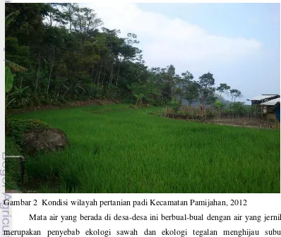 Gambar 2  Kondisi wilayah pertanian padi Kecamatan Pamijahan, 2012 