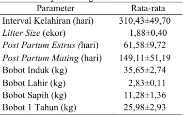 Tabel 2. Kinerja kambing Saburai 