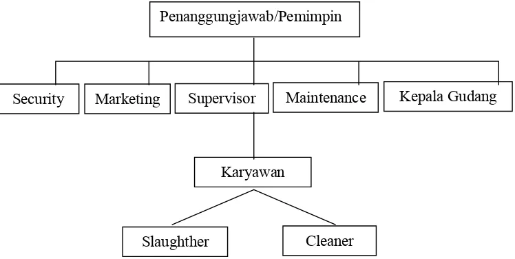 Gambar 6. Struktur Organisasi PT Celmor Perdana Indonesia 