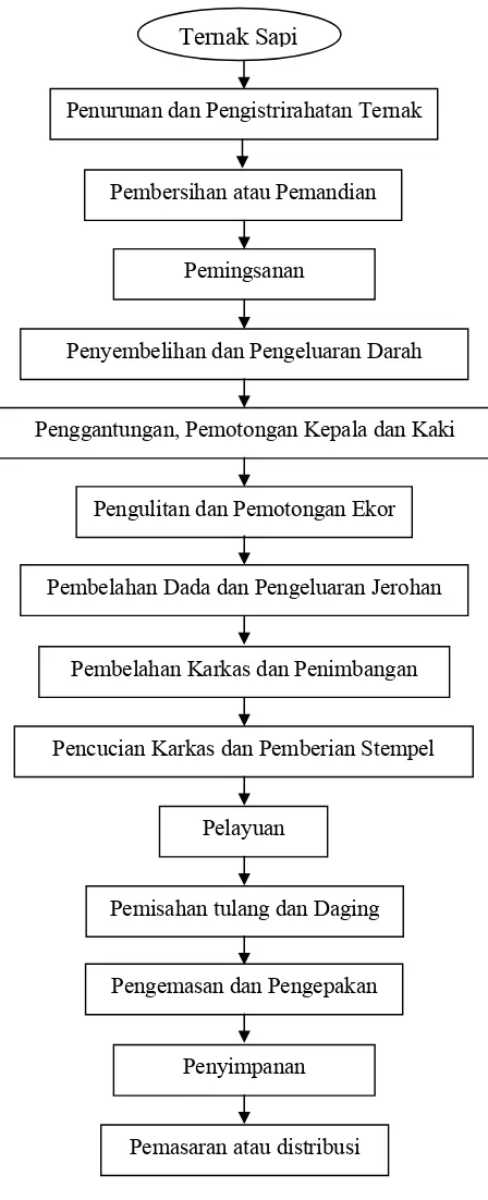 Gambar 8. Tahapan Proses Pemotongan di RPH PT. Celmor Perdana Indonesia  
