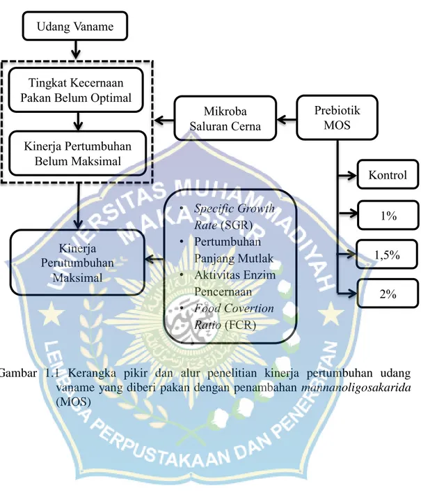 Gambar  1.1  Kerangka  pikir  dan  alur  penelitian  kinerja  pertumbuhan  udang  vaname yang diberi pakan dengan penambahan  mannanoligosakarida  (MOS) 