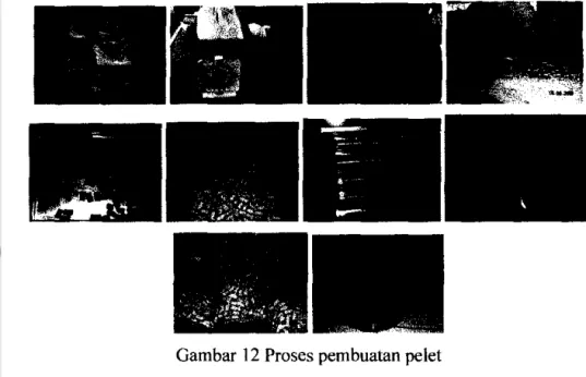 Gambar  12 Proses pembuatan pelet 
