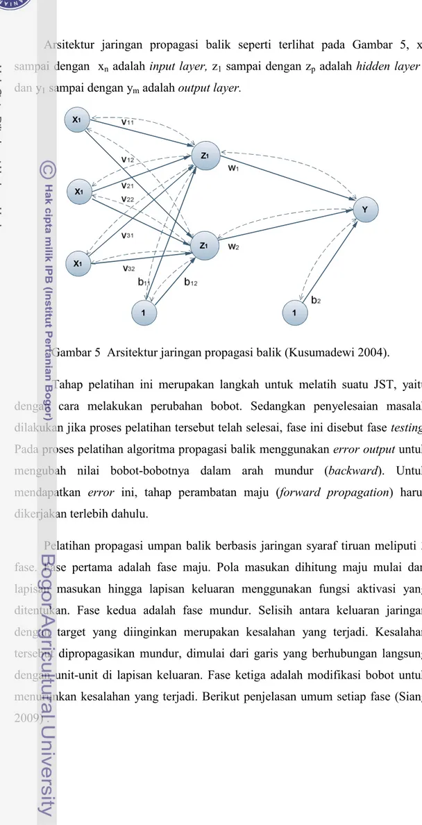 Gambar 5  Arsitektur jaringan propagasi balik (Kusumadewi 2004). 